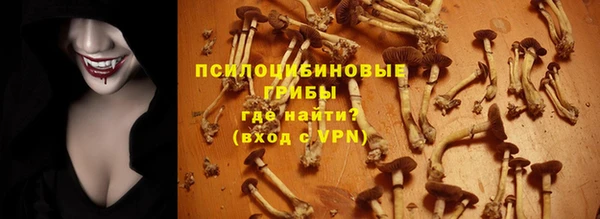 ешки Магадан