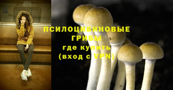 спайс Майский