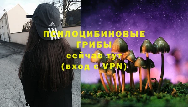 амфетамин Михайловск